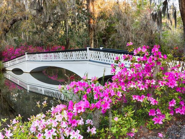 South Carolina self drive holiday in USA