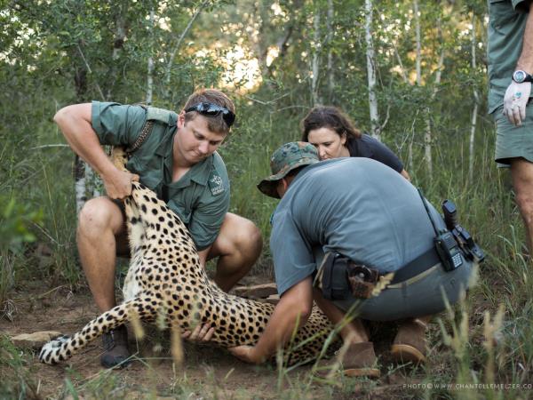 Wildlife conservation course in South Africa