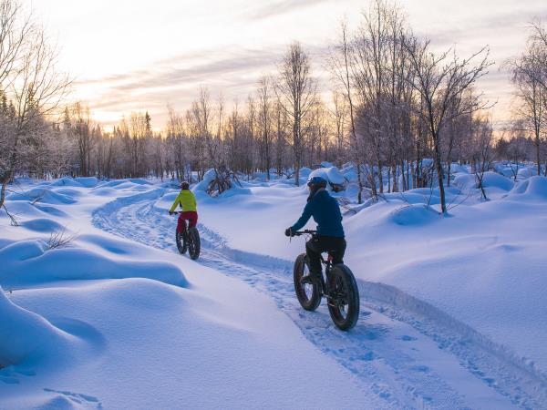Winter tailor-made holiday in Finland