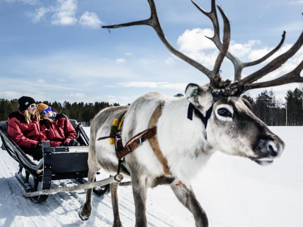 Winter tailor-made holiday in Finland