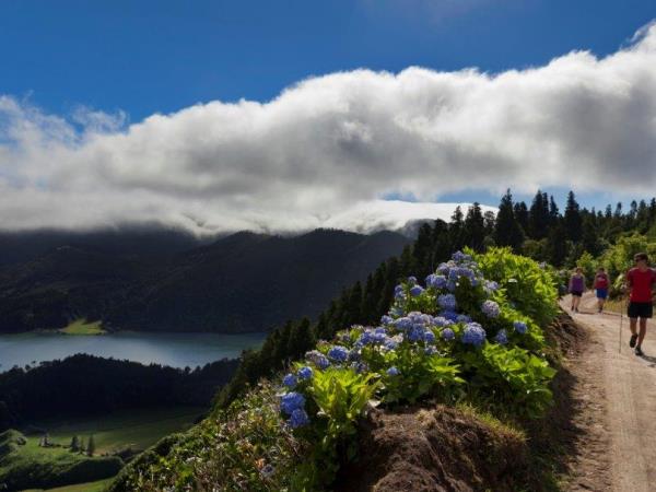 Azores tour, volcanic wonderland
