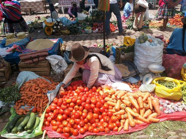 Peruvian Andes trekking holiday to Machu Picchu