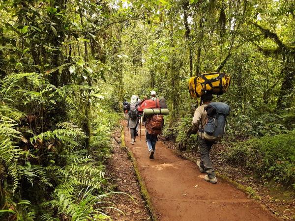 Kilimanjaro climbing expedition holiday
