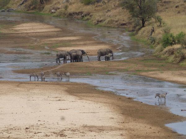 Kilimanjaro climbing expedition holiday