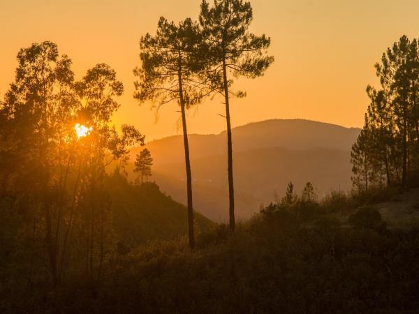 Yoga holiday in Portugal