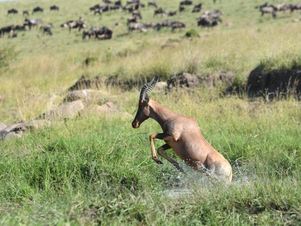Best of Tanzania tailor made holiday