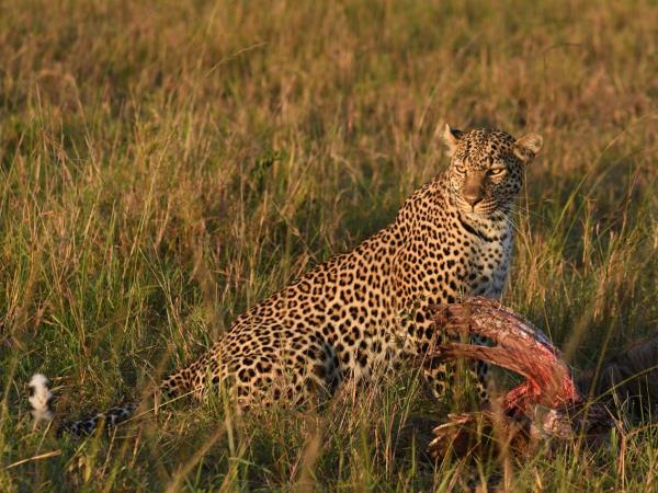 Best of Tanzania tailor made holiday