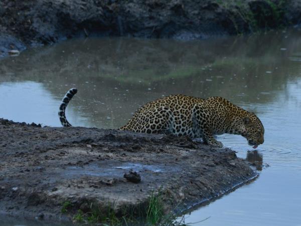 Best of Tanzania tailor made holiday