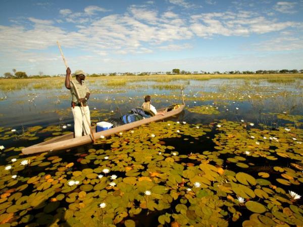Botswana luxury camping safari, small group