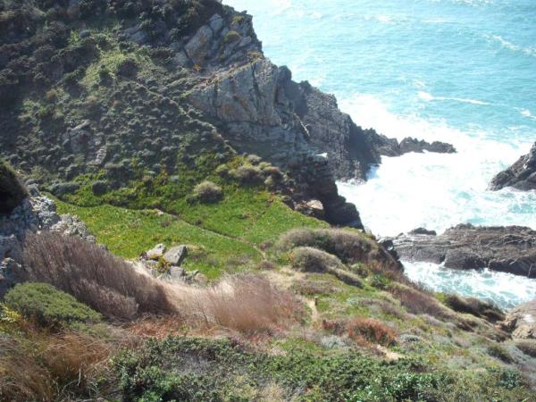 Rota Vicentina Fishermen's Trail walking holiday in Portugal
