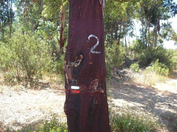 Self-guided walking holiday in Alentejo, Portugal