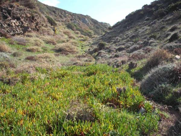Self-guided walking holiday in Alentejo, Portugal