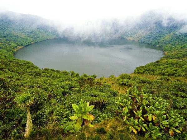 3 Day Gorilla trekking holiday in Rwanda