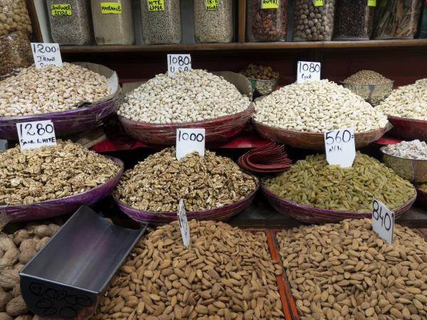 India culture and wildlife holiday
