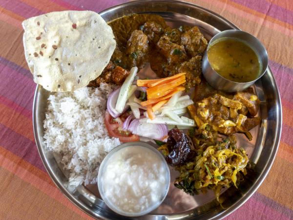 India culture and wildlife holiday