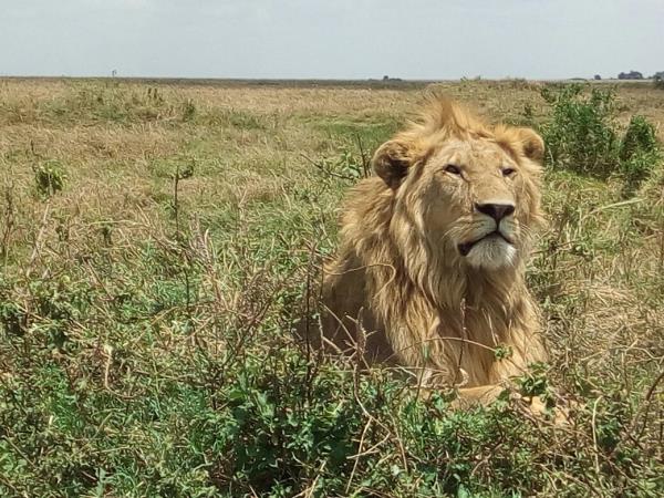 Highlights of Tanzania tailor made holiday