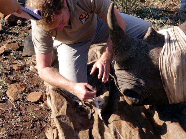 Wildlife conservation course in South Africa