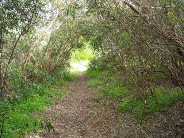 Alentejo walking holidays in Portugal