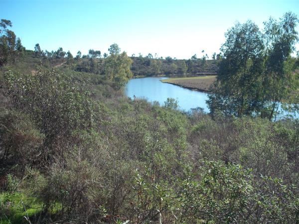 Portugal self guided walking holiday in Alentejo
