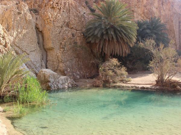 Tunisia holiday, tailor made