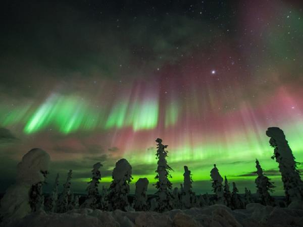 Northern Lights in Lapland holiday