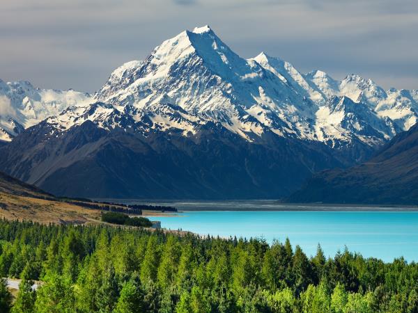 New Zealand conservation volunteering