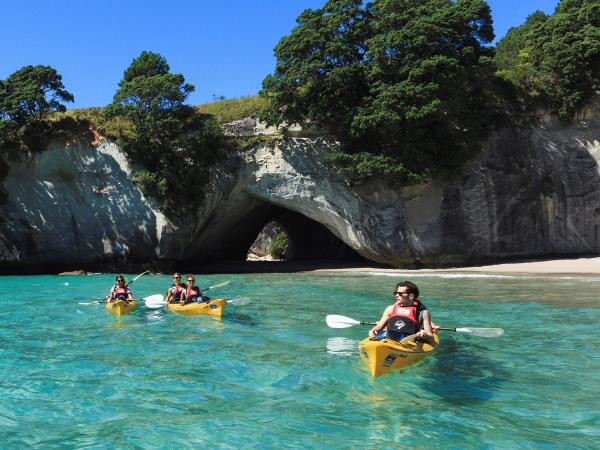 New Zealand conservation volunteering