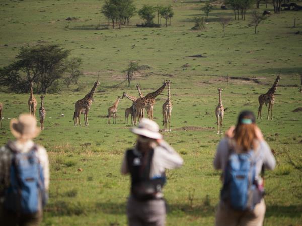 Tanzania multi activity safari holiday