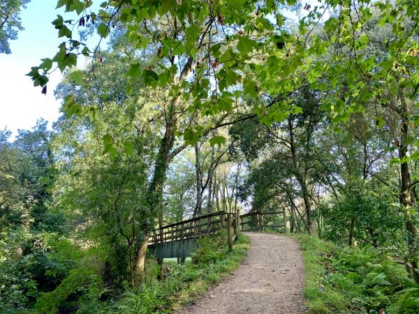 French Way and Finisterre Way walking holiday