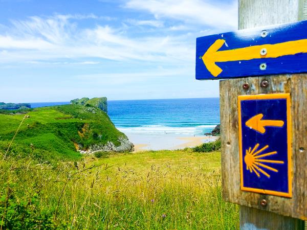 Picos de Europa National Park & Northern Way walking holiday