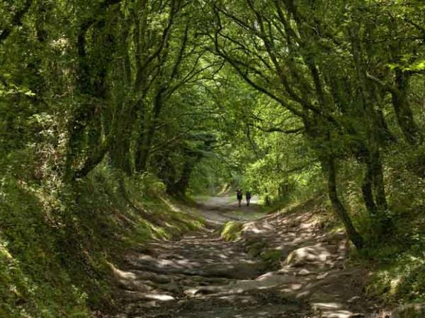 Camino de Santiago short break