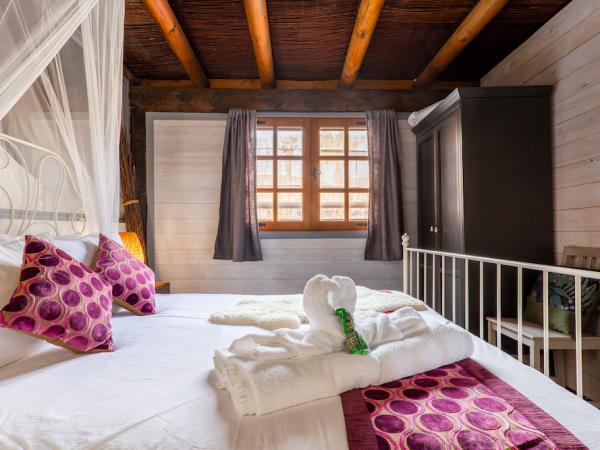 Eco lodge in Lanzarote