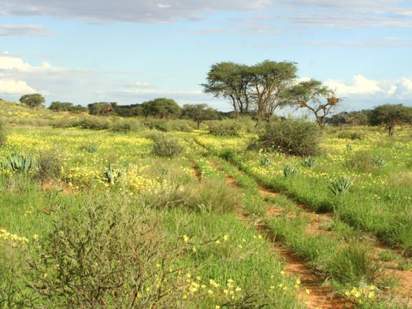 Namibia self drive tour, deserts and canyons
