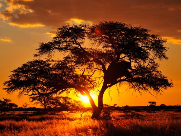 Namibia self drive tour, deserts and canyons