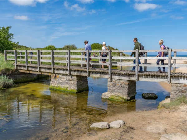 Anglesey walking holiday, Wales