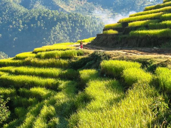 Ganesh Himal camping trek in Nepal