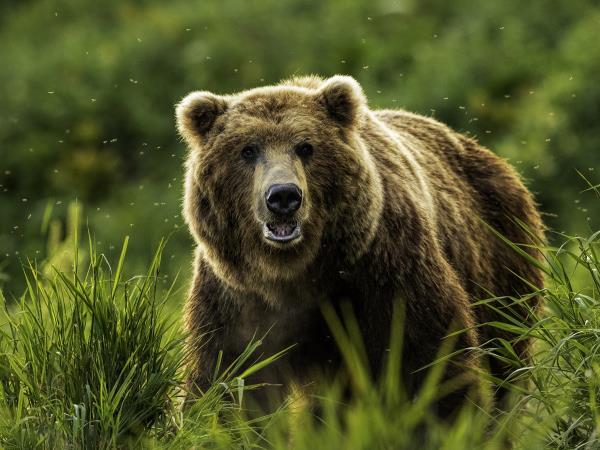 Kamchatka photography holiday in Russia