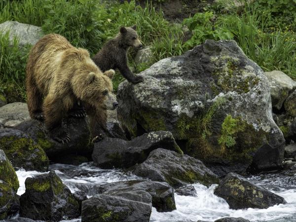 Kamchatka photography holiday in Russia