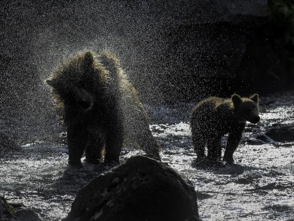 Kamchatka photography holiday in Russia