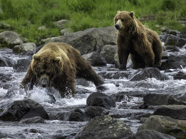 Kamchatka photography holiday in Russia