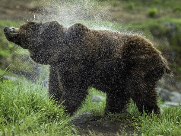 Kamchatka photography holiday in Russia