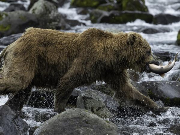 Kamchatka photography holiday in Russia