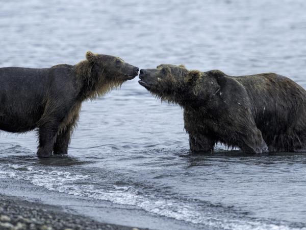 Kamchatka photography holiday in Russia