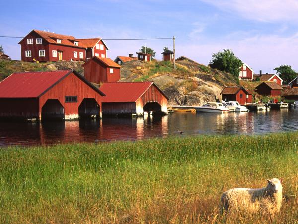 Sweden kayaking and food short break