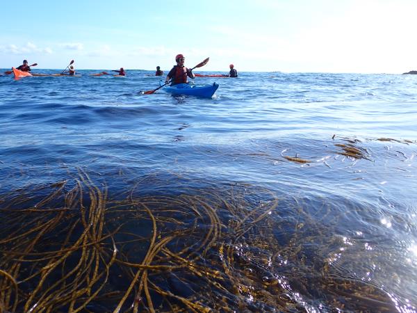 Sea kayaking short break in Dorset