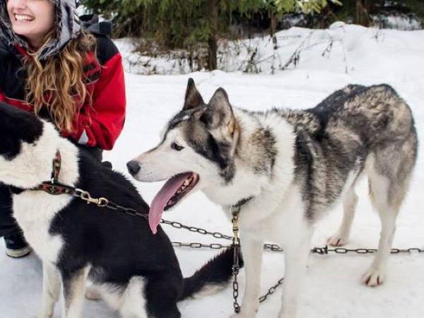 Lapland holidays with glass igloo stay & Northern Lights