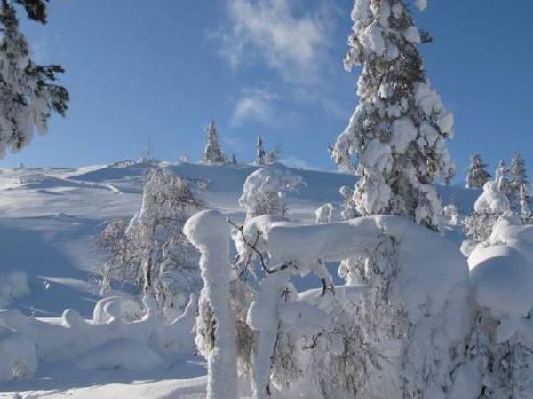 Lapland holidays with glass igloo stay & Northern Lights