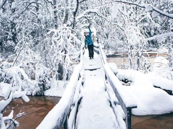 Lapland holidays with glass igloo stay & Northern Lights