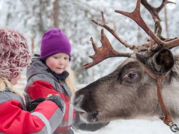 Lapland holidays with glass igloo stay & Northern Lights