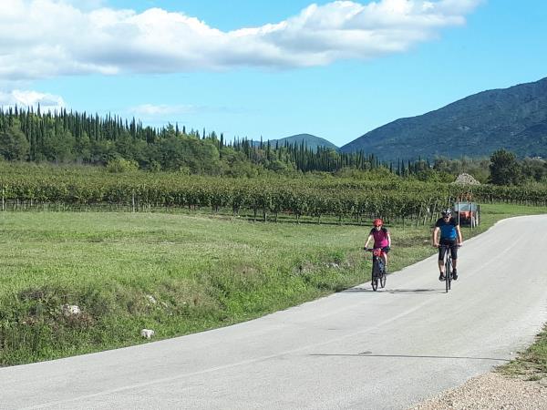 Croatia cycling holiday, Dalmatian wine roads